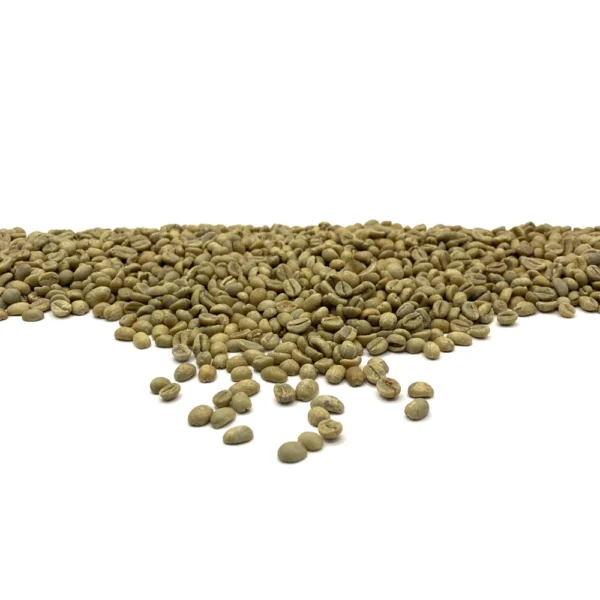 Ethiopia: Organic Buku Sayisa Gr1, Guji - Image 3