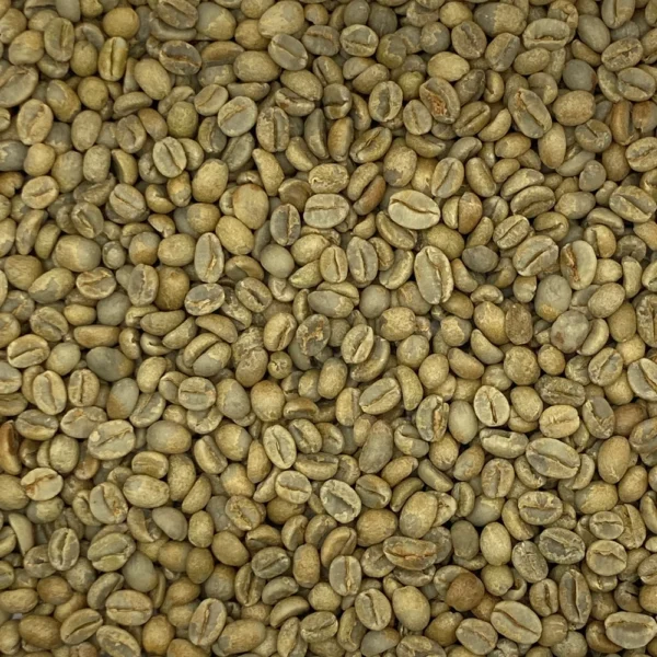 Ethiopia: Organic Buku Sayisa Gr1, Guji - Image 8