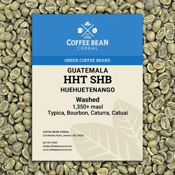 Guatemala: HHT SHB, Huehuetenango - Image 6