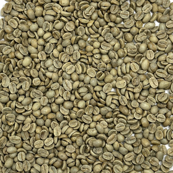 India: Mysore Nuggets, Chikmagalur District