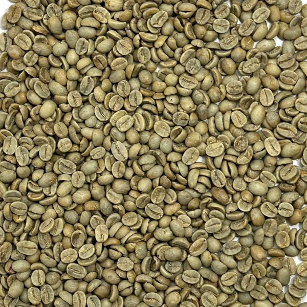 India: Mysore Nuggets, Chikmagalur District - Image 2