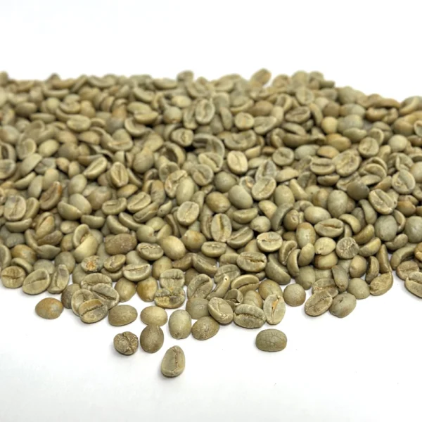 India: Mysore Nuggets, Chikmagalur District - Image 3