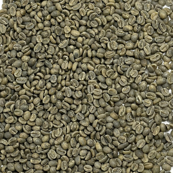 Java: Blawan Estate, East Java