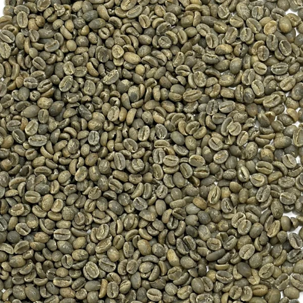Java: Blawan Estate, East Java - Image 2