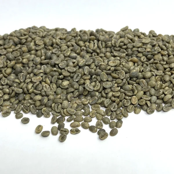 Java: Blawan Estate, East Java - Image 3