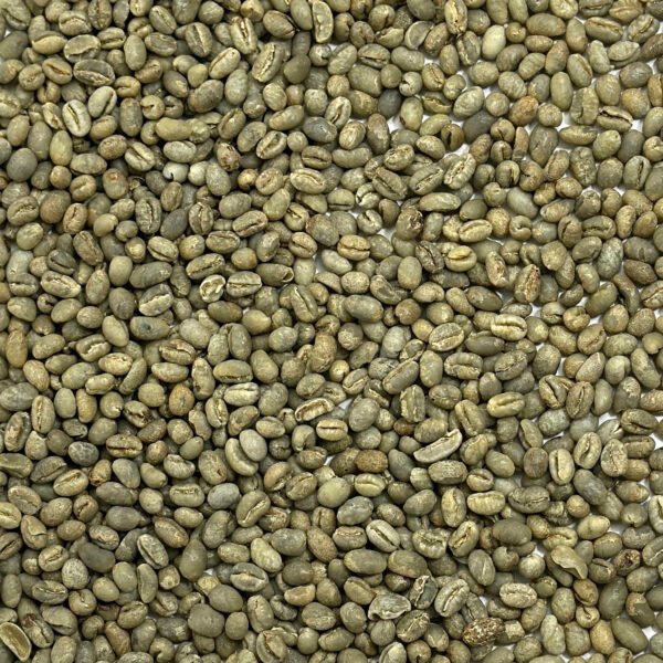 Kenya: Peaberry Plus 15/16, Kirinyaga County