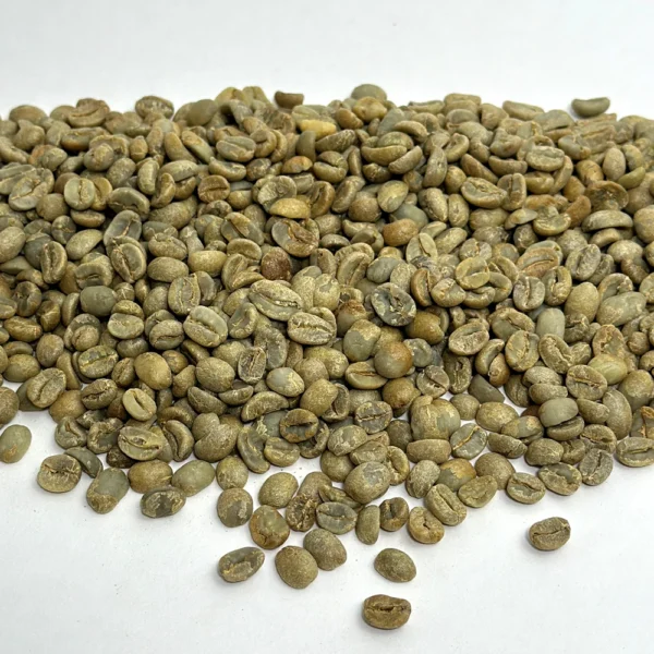 Nicaragua: Organic Finca La Isabelia, Jinotega - Image 3