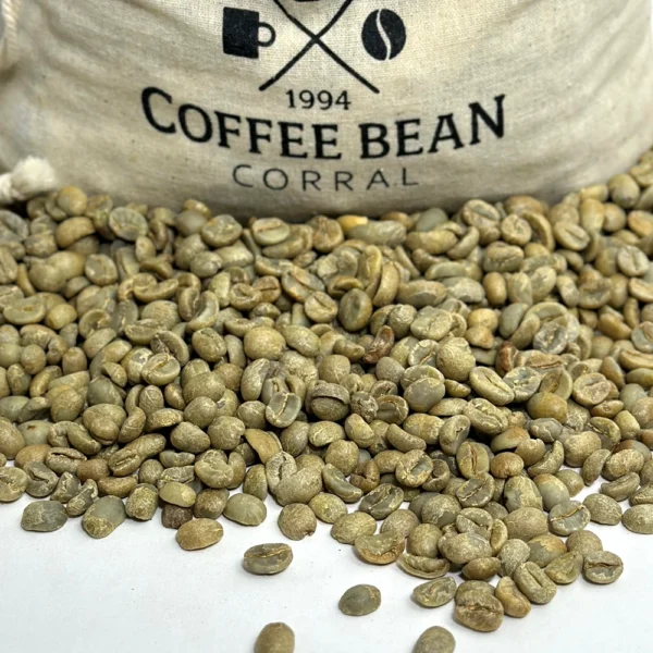 Nicaragua: Organic Finca La Isabelia, Jinotega - Image 4