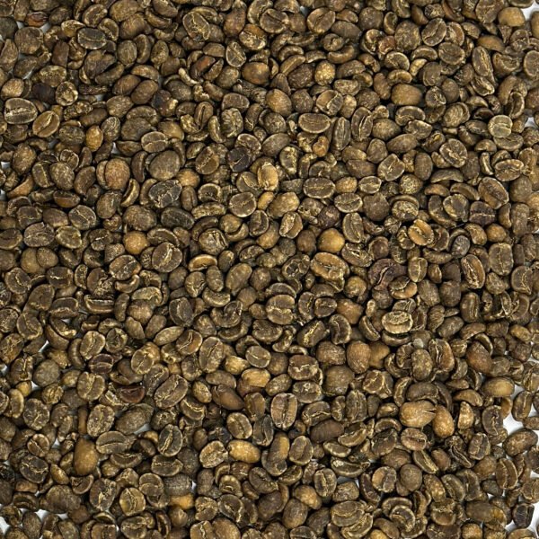 Guatemala: Decaf HHT Royal Select, Huehuetenango