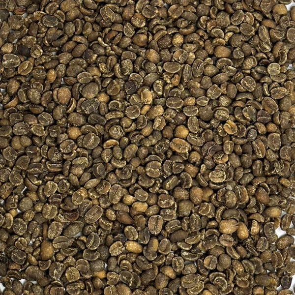 Guatemala: Decaf HHT Royal Select, Huehuetenango - Image 2