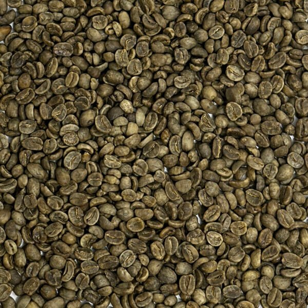 Colombia: Decaf EA, Cauca