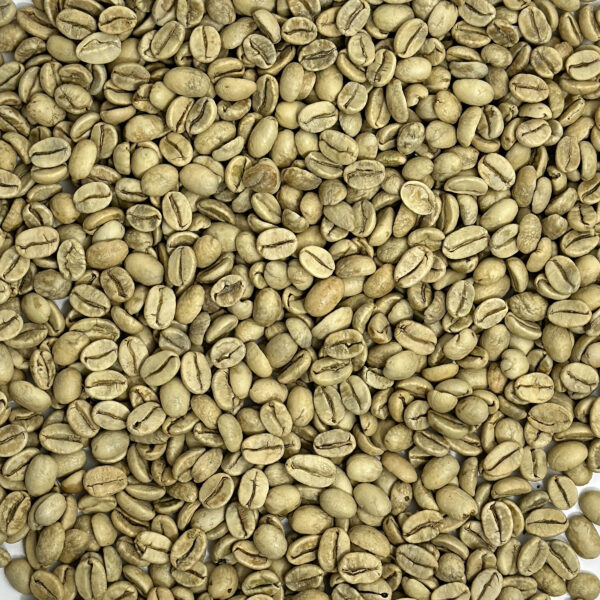 India: Monsooned Malabar AA, Karnataka