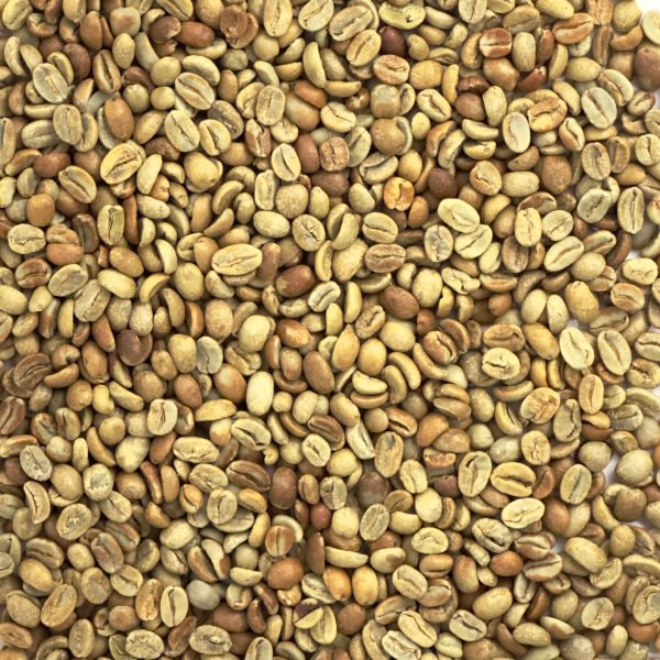 Honduras: Organic 18 Rabbit Natural, Marcala