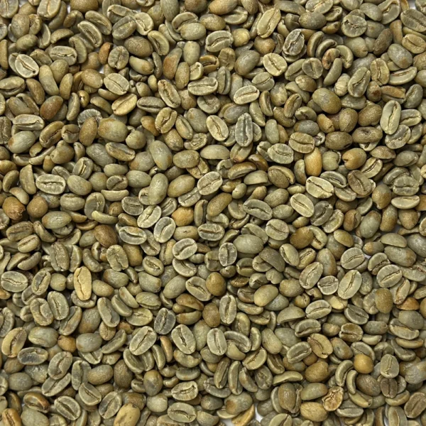 Dominican Republic: Organic Ramirez Red Honey, Jarabacoa - Image 2