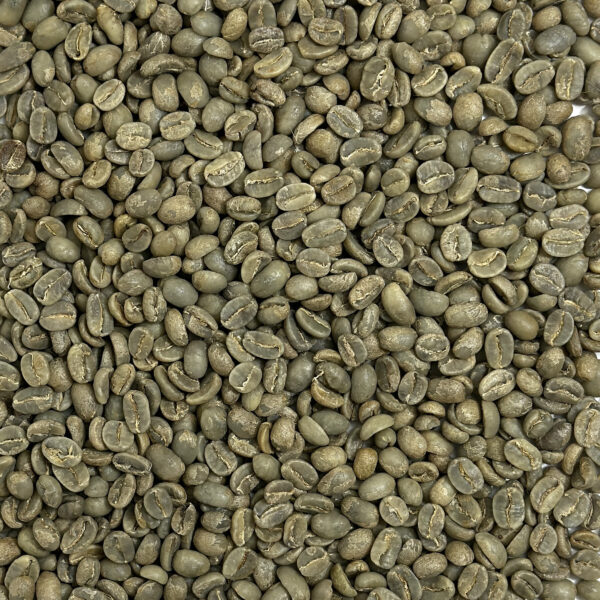 Timor: Organic Cafe Timor Coop, East Timor