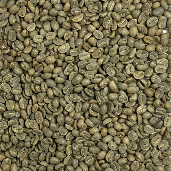 Timor: Organic Cafe Timor Coop, East Timor - Image 2