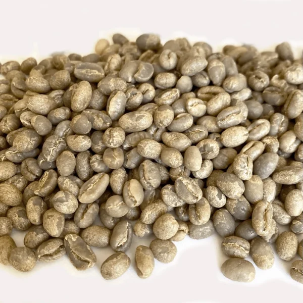 Kenya: Peaberry Plus 15/16, Kirinyaga County - Image 3