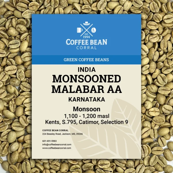 India: Monsooned Malabar AA, Karnataka - Image 6