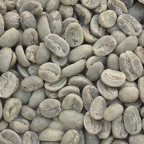 Timor: Organic Cafe Timor Coop, East Timor - Image 3