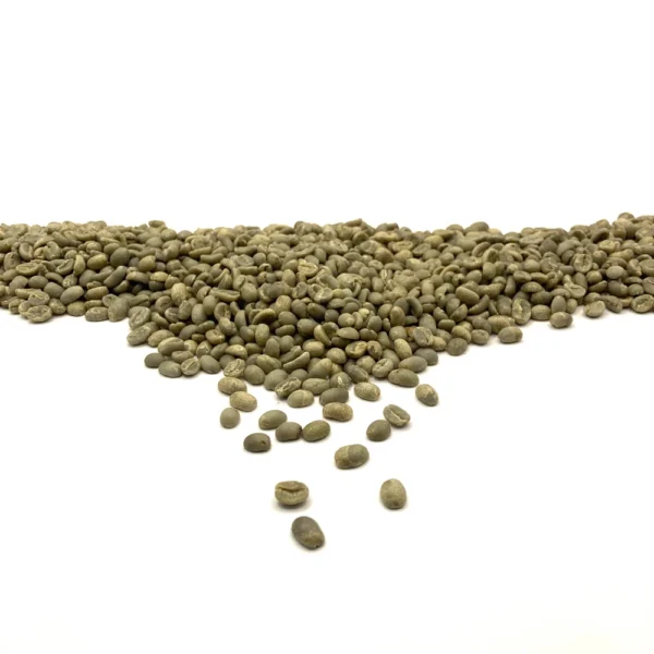Ethiopia: Organic Buku Sayisa Gr1, Guji - Image 2