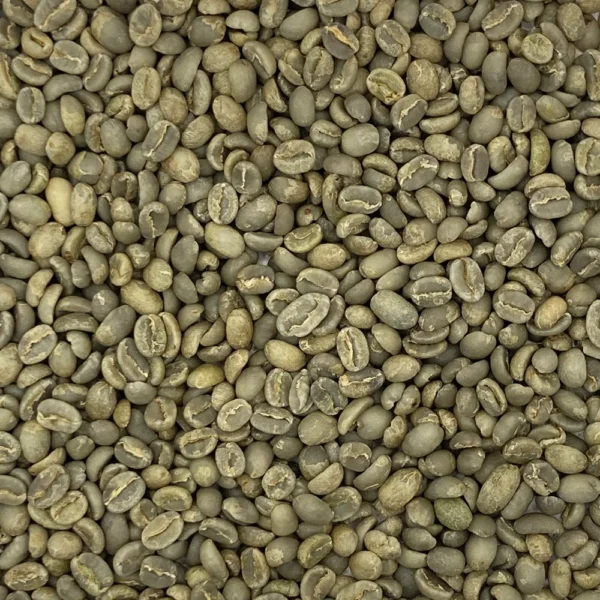 Ethiopia: Organic Buku Sayisa Gr1, Guji - Image 9